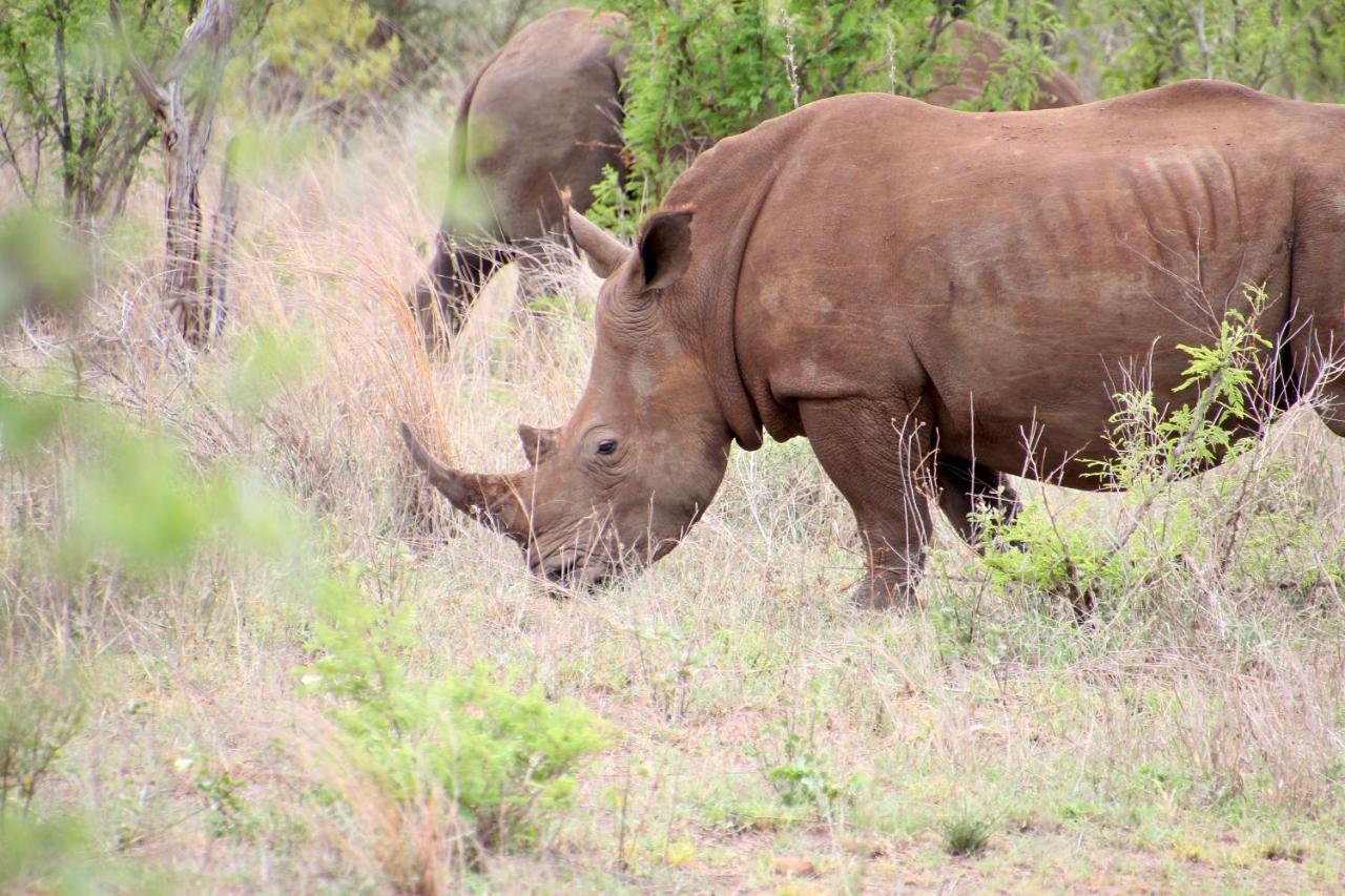 Jackals Dream - Self Catering Villa bordering Kruger National Park Marloth Park Exterior foto